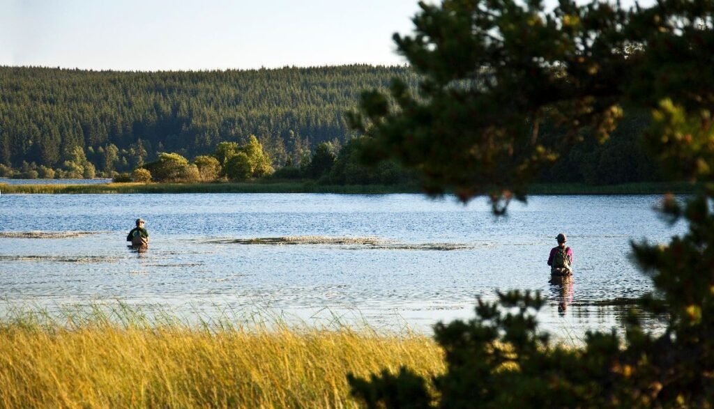 Lac de Charpal peche