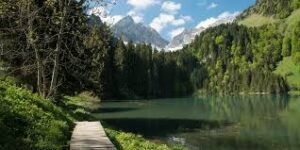 Le Lac des Plagnes