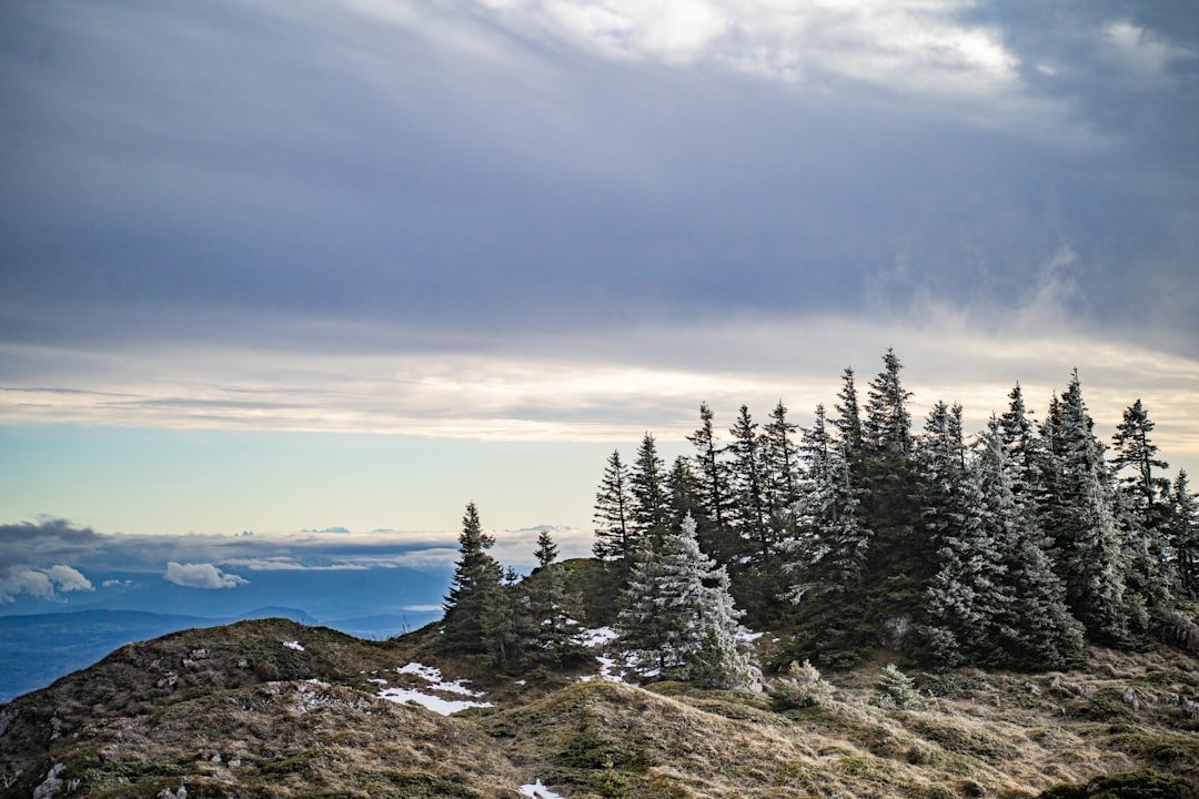 webcam foncine le haut - conditions et enneigement du domaine