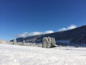 webcam la chaux de fonds en direct - conditions sur le domaine