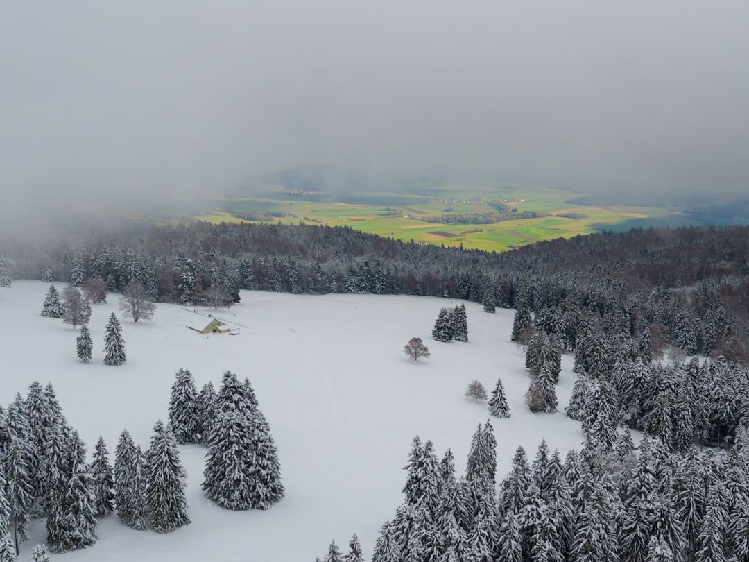 webcam la chaux de fonds - conditions et enneigement du domaine