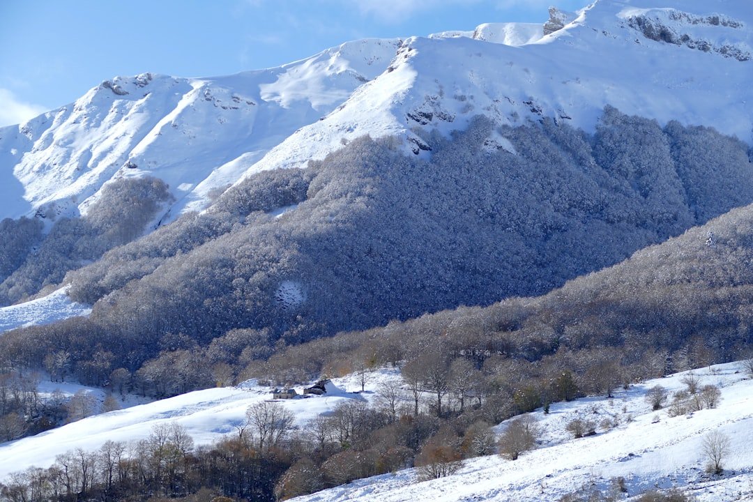 webcam lioran - conditions et enneigement du domaine