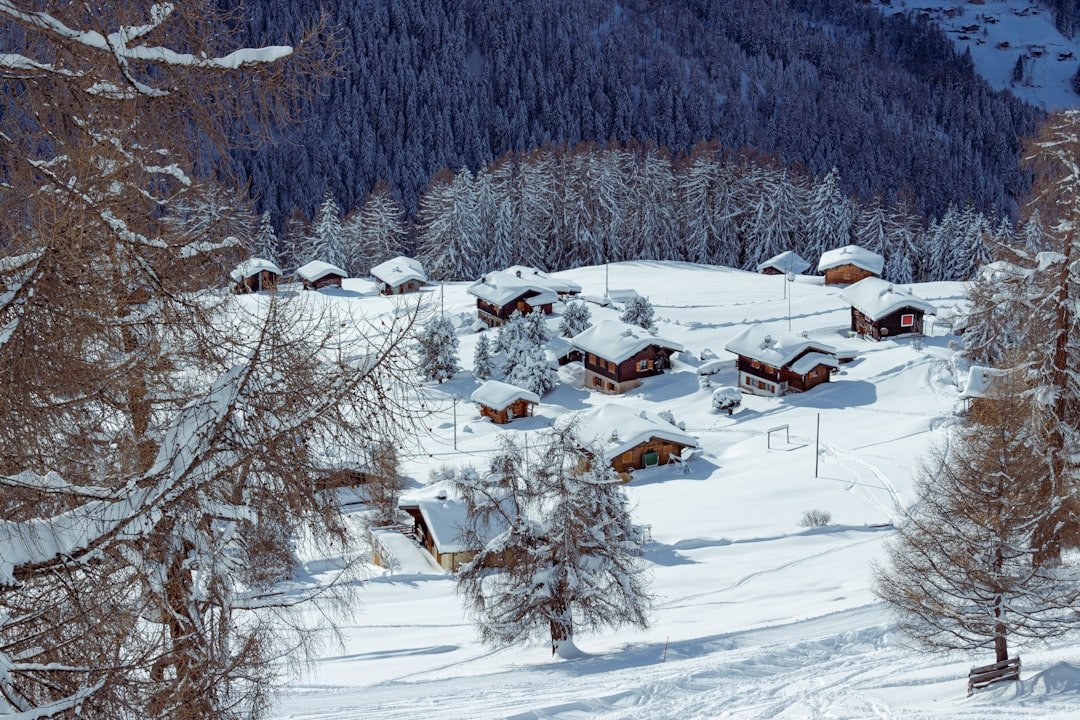 webcam nendaz - conditions et enneigement du domaine